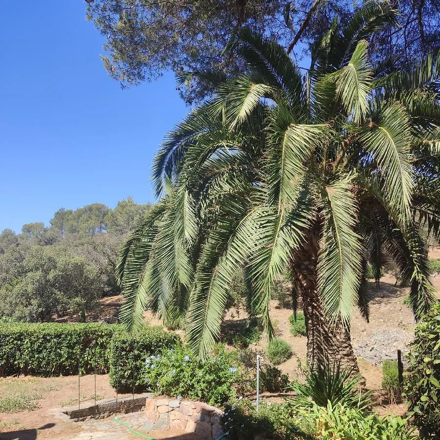 Apartament Orpheus83 Saint-Raphaël Francja